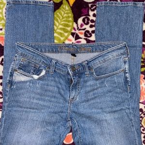 GAP Size 8/29 Premium Skinny Jeans